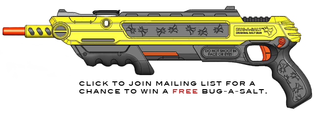 gun